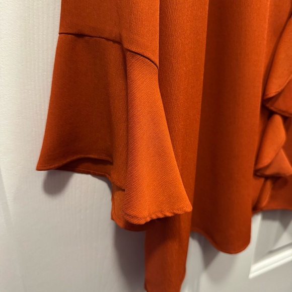 Investments 🫐 Women’s Plus Size Size Burnt Orange Ruffle Blouse 2X - Picture 3 of 8
